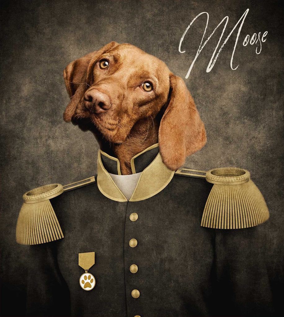 royal dog portrait