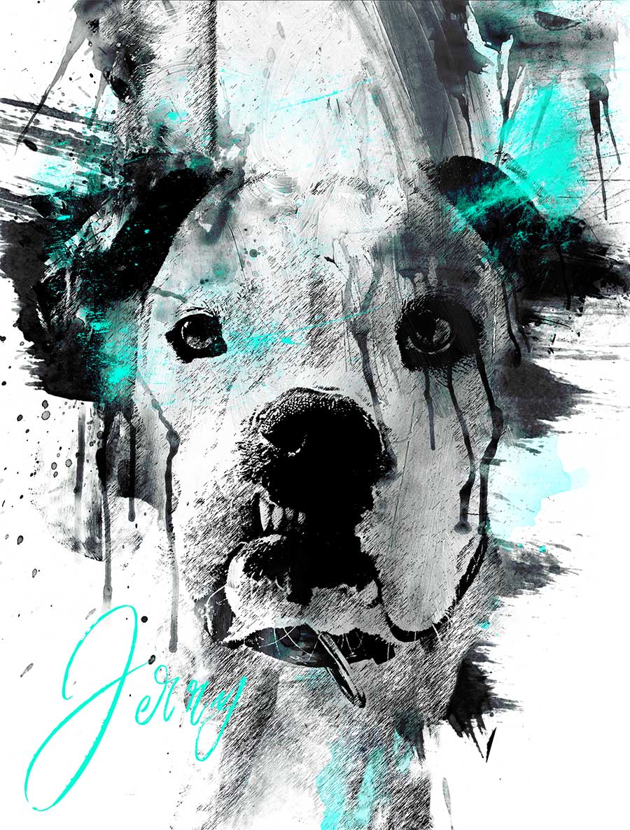 chaos canvas custom portrait