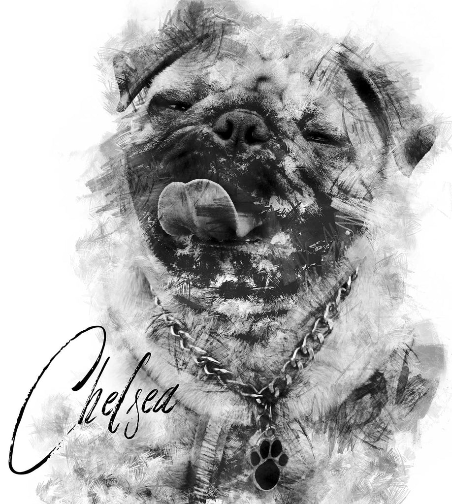 charcoal art pet portrait