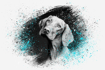 paint splash custom pet portrait
