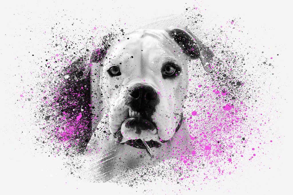 paint splash custom pet portrait